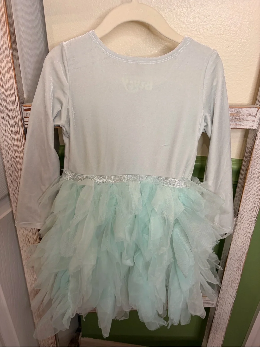 🩵 Bluey Bingo Tulle Tutu Dress Girls 3T Aqua Blue